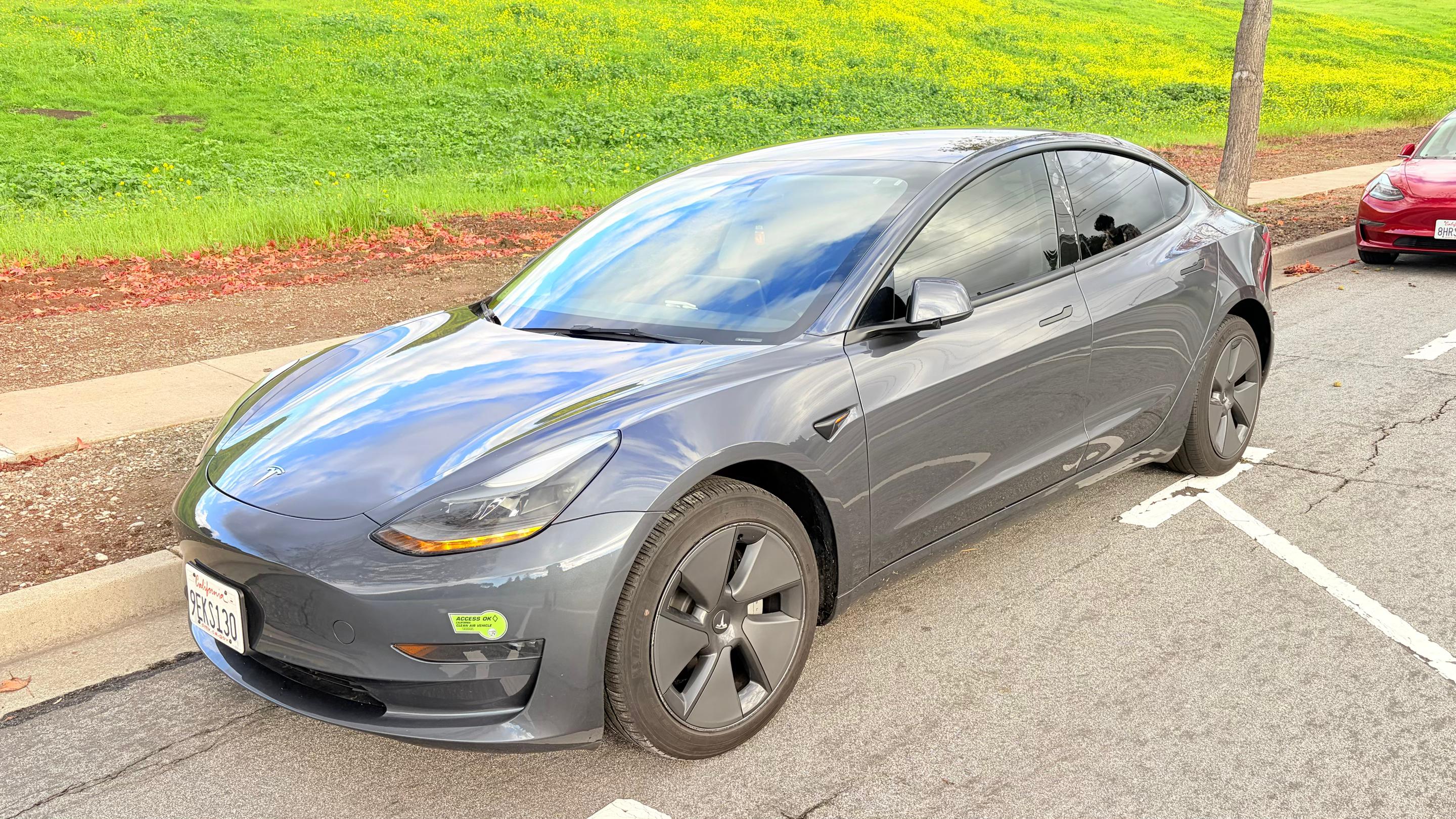 Tesla Model 3 2023 in Fremont, CA