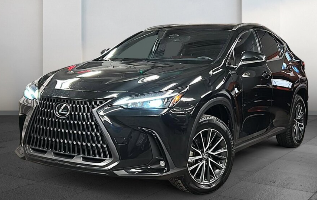 Lexus NX 2023 à 
