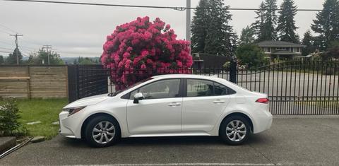 Toyota Corolla 2026