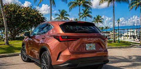 Lexus NX 2025
