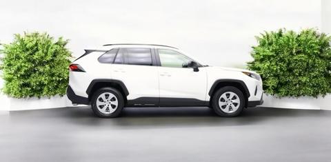 Toyota RAV4 2021 rental in Chicago Ridge, IL by Michael R. | Turo
