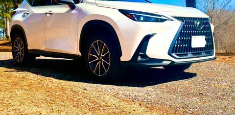 Lexus NX 2022