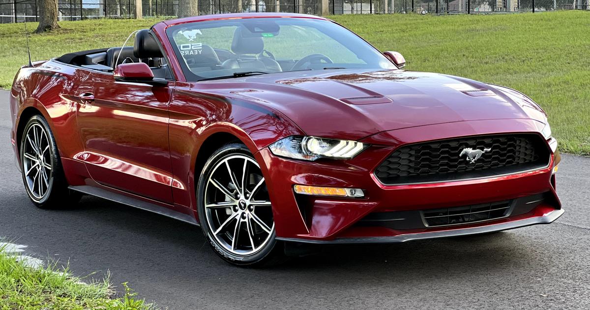 Ford Mustang 2019 rental in Lutz, FL by Avant Garde R. Turo