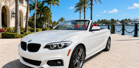 BMW 2 Series 2019