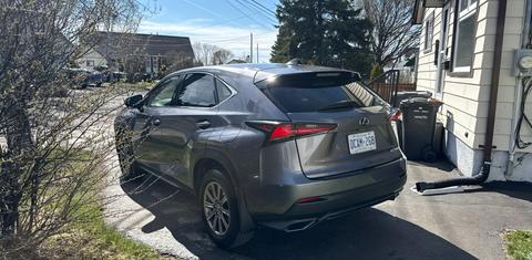 Lexus NX 2019