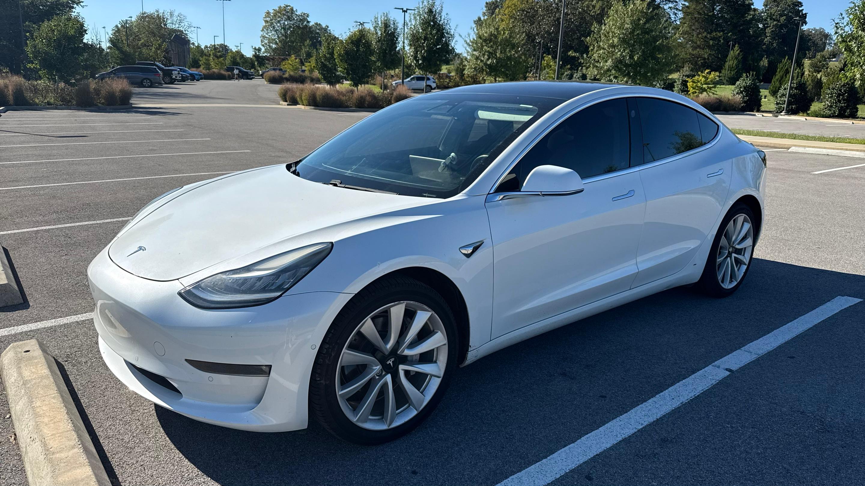 Tesla Model 3 2019 in Knoxville, TN