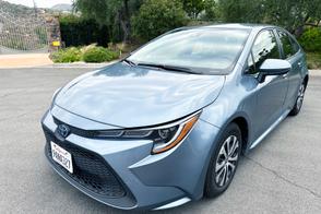 Toyota Corolla car