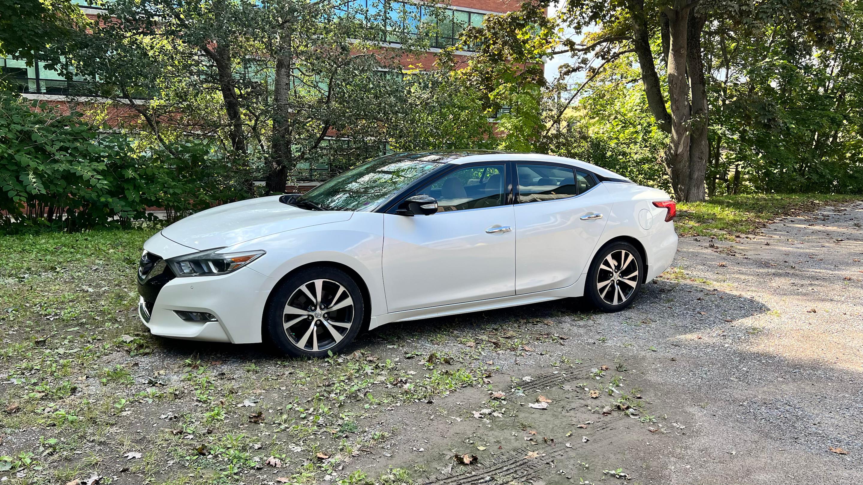 Nissan Maxima 2016 à Saint John, NB