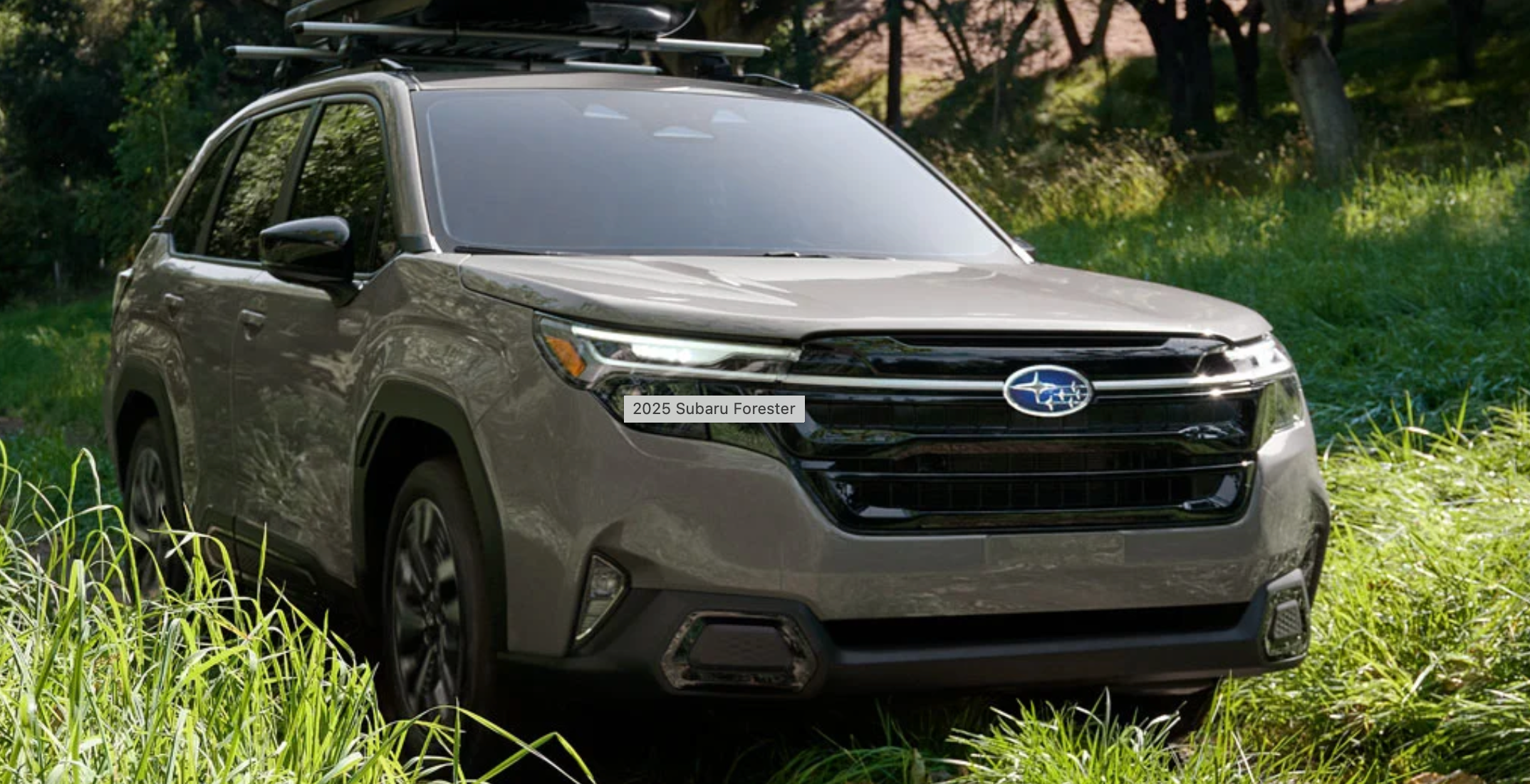 Subaru Forester 2025 à Calgary, AB