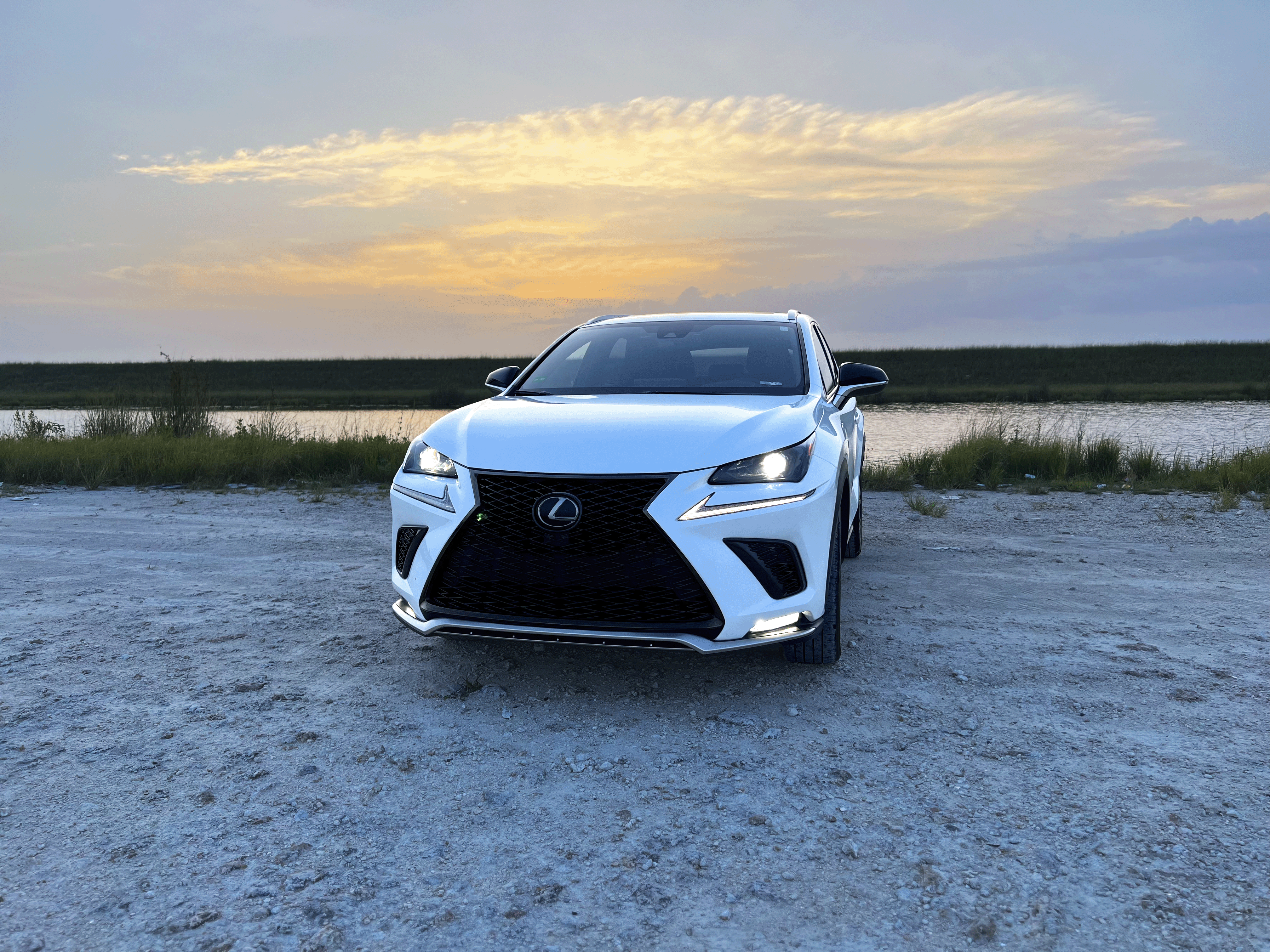 Lexus NX 2021 in 