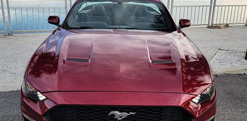 Ford Mustang 2019