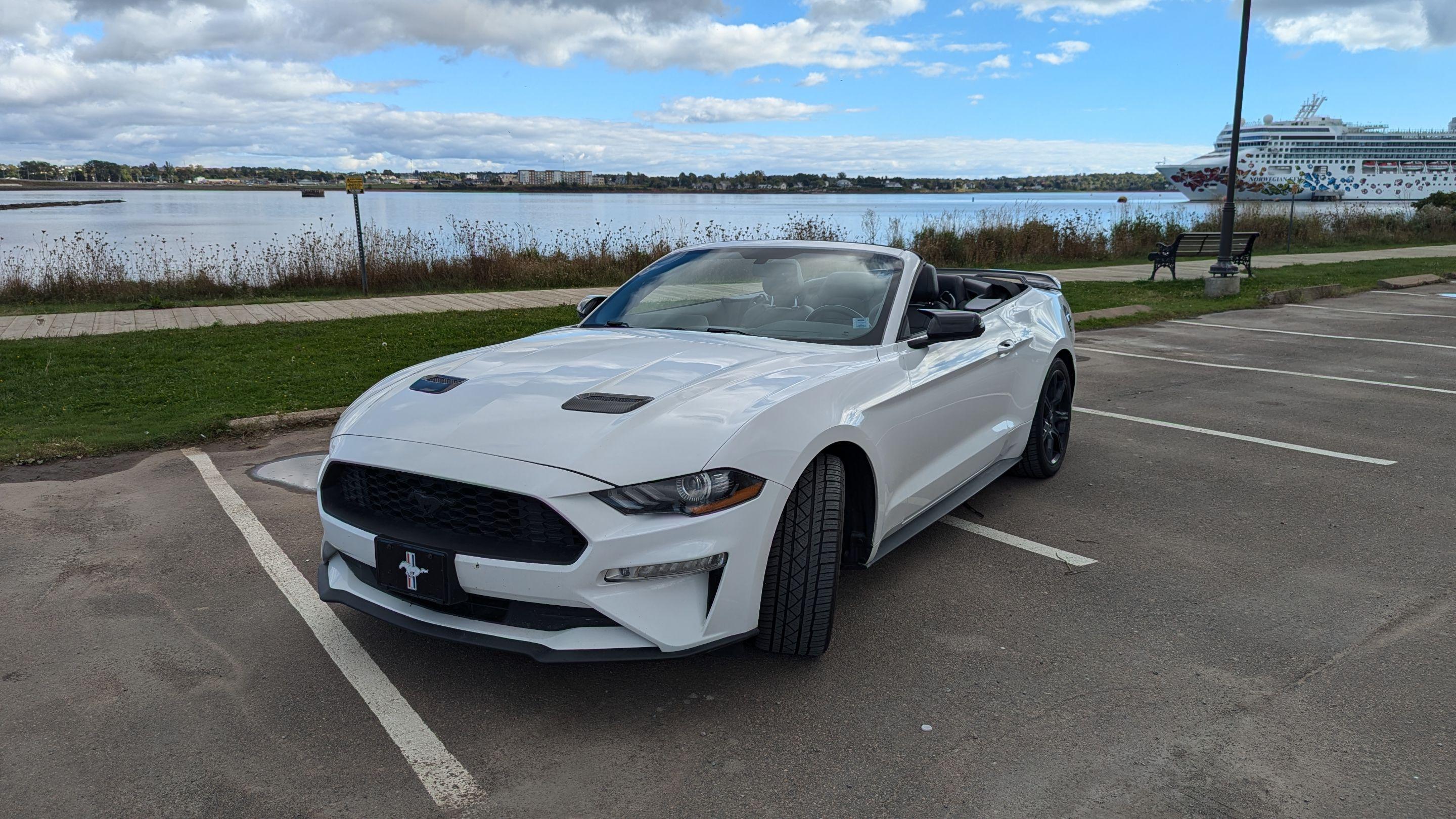 Ford Mustang 2019 à Charlottetown, PE
