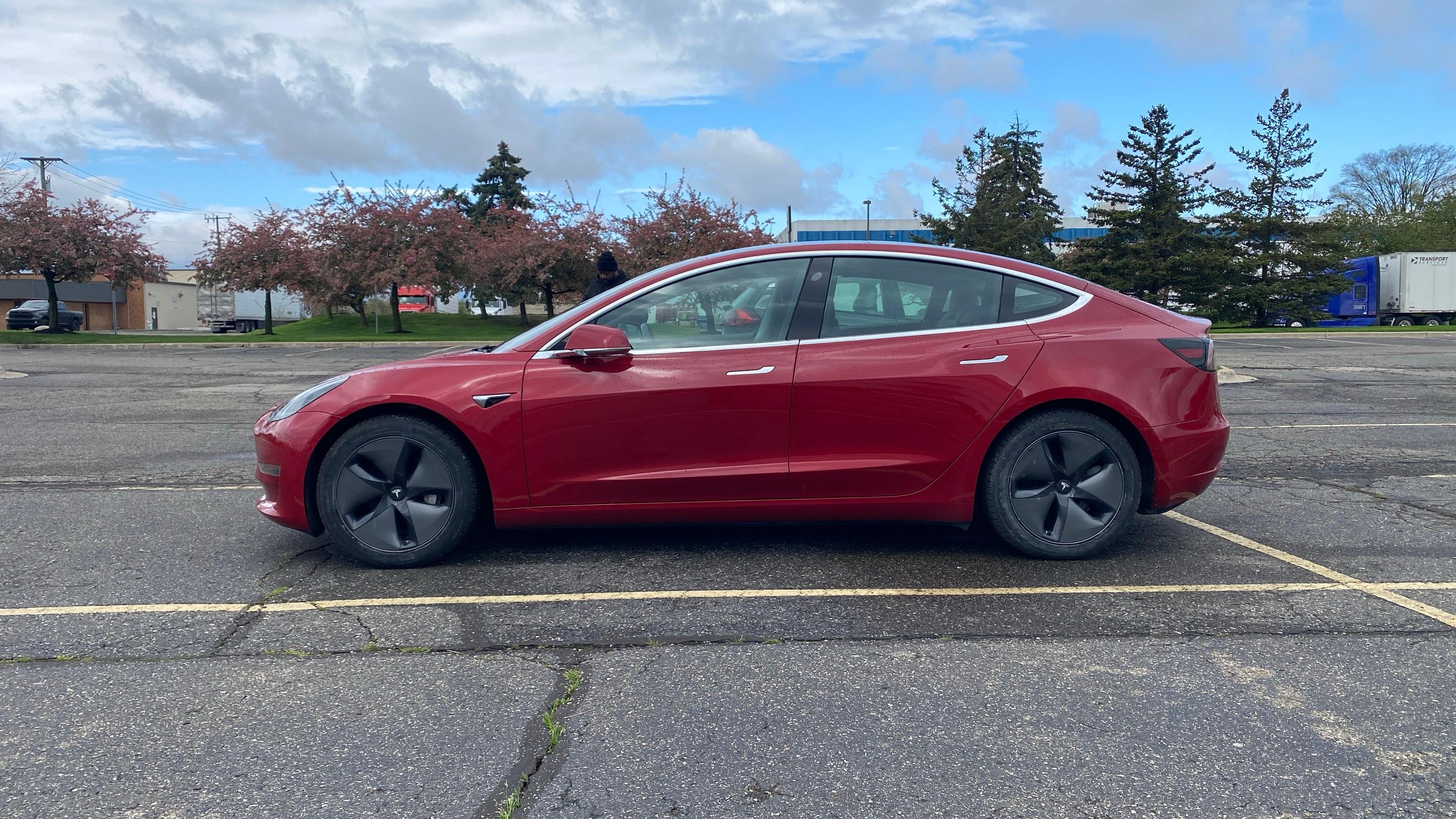 Tesla Model 3 2019 in Novi, MI