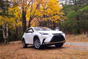 Lexus NX car