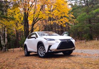 Lexus NX car