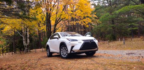 Lexus NX 2021