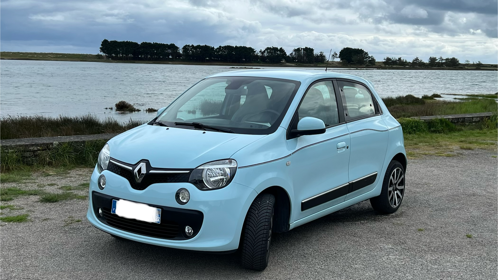 Renault TWINGO III 2015 à Pleuven