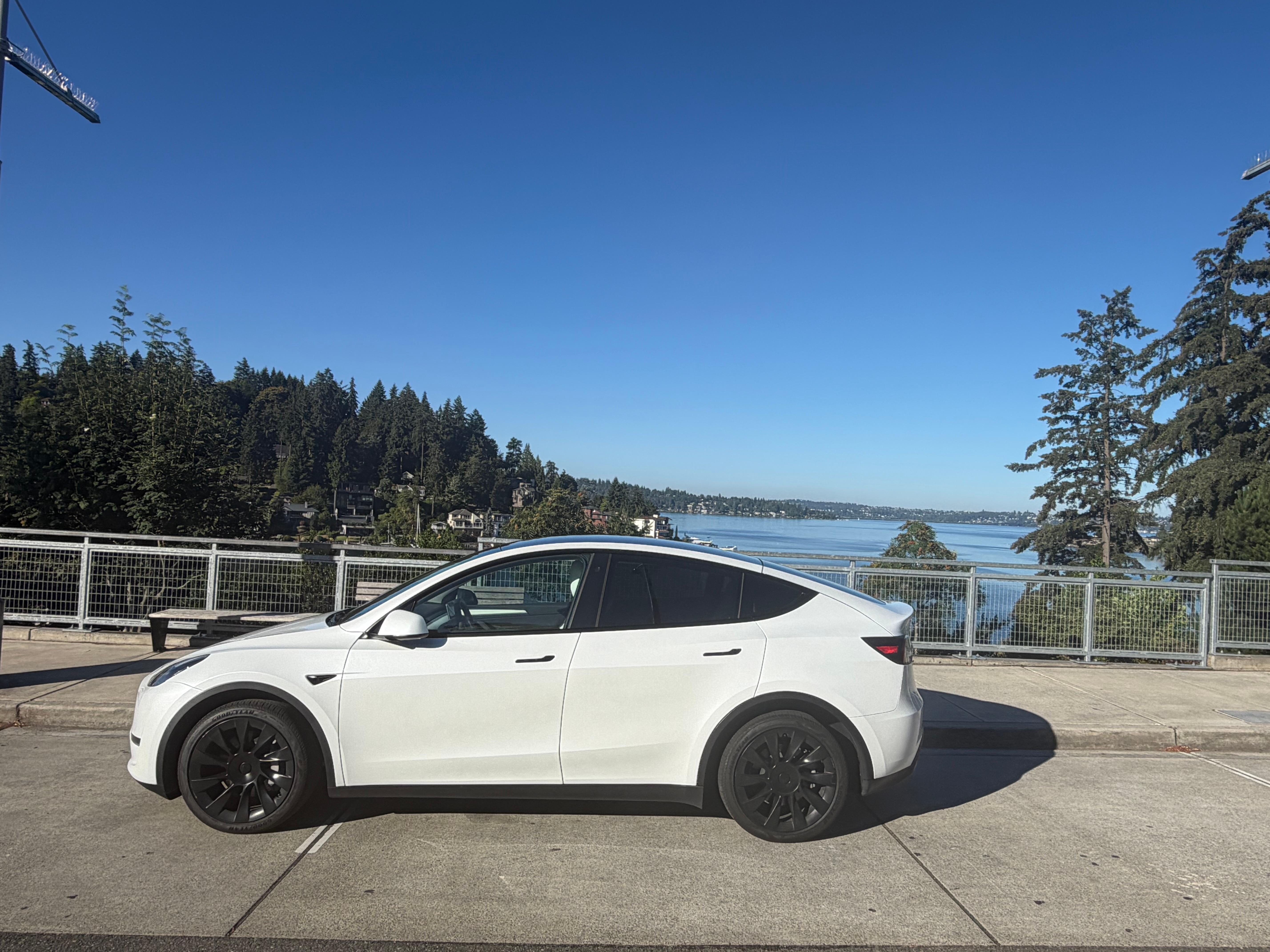 Tesla Model Y 2023 in Bellevue, WA