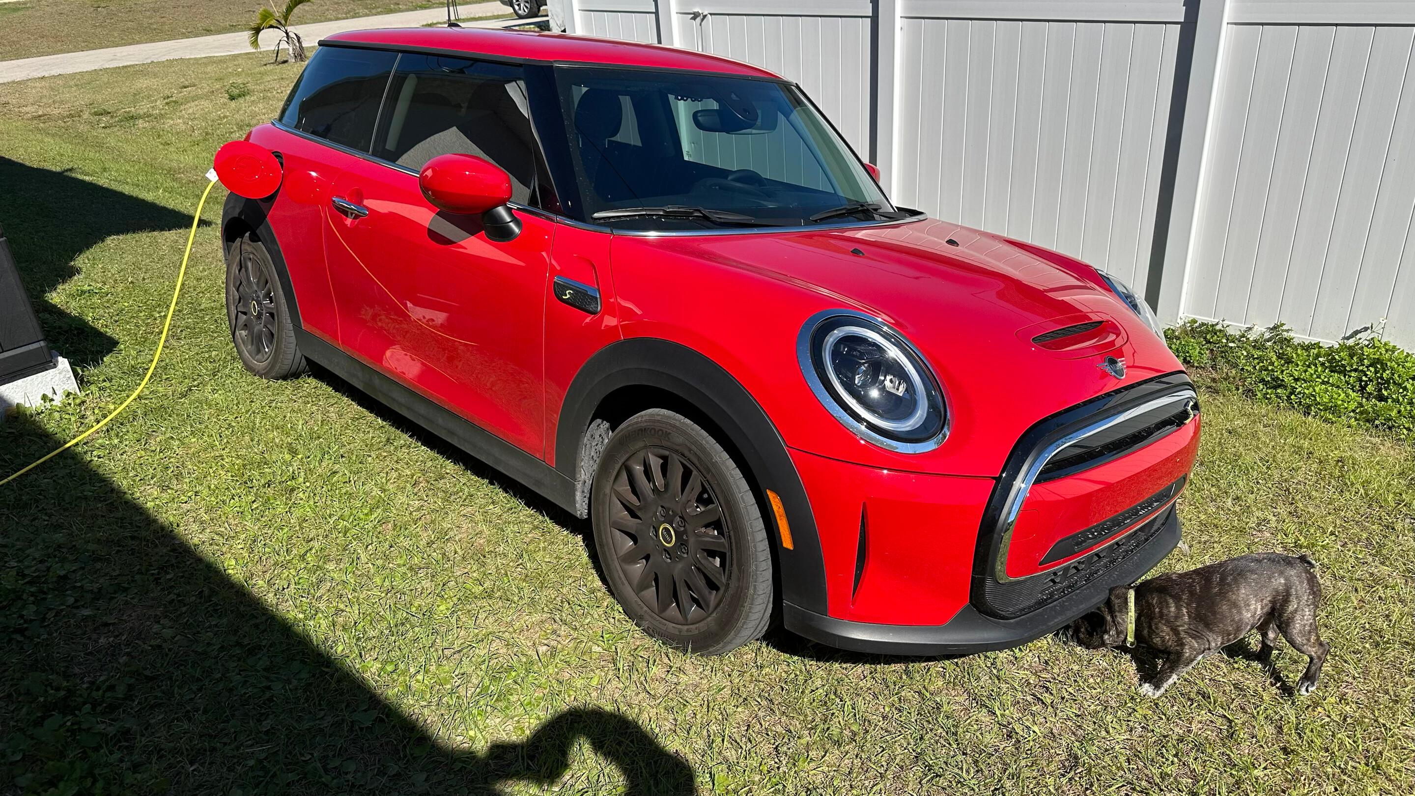 MINI Hardtop 2 Door 2023 in Cape Coral, FL