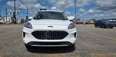 Ford Escape 2020