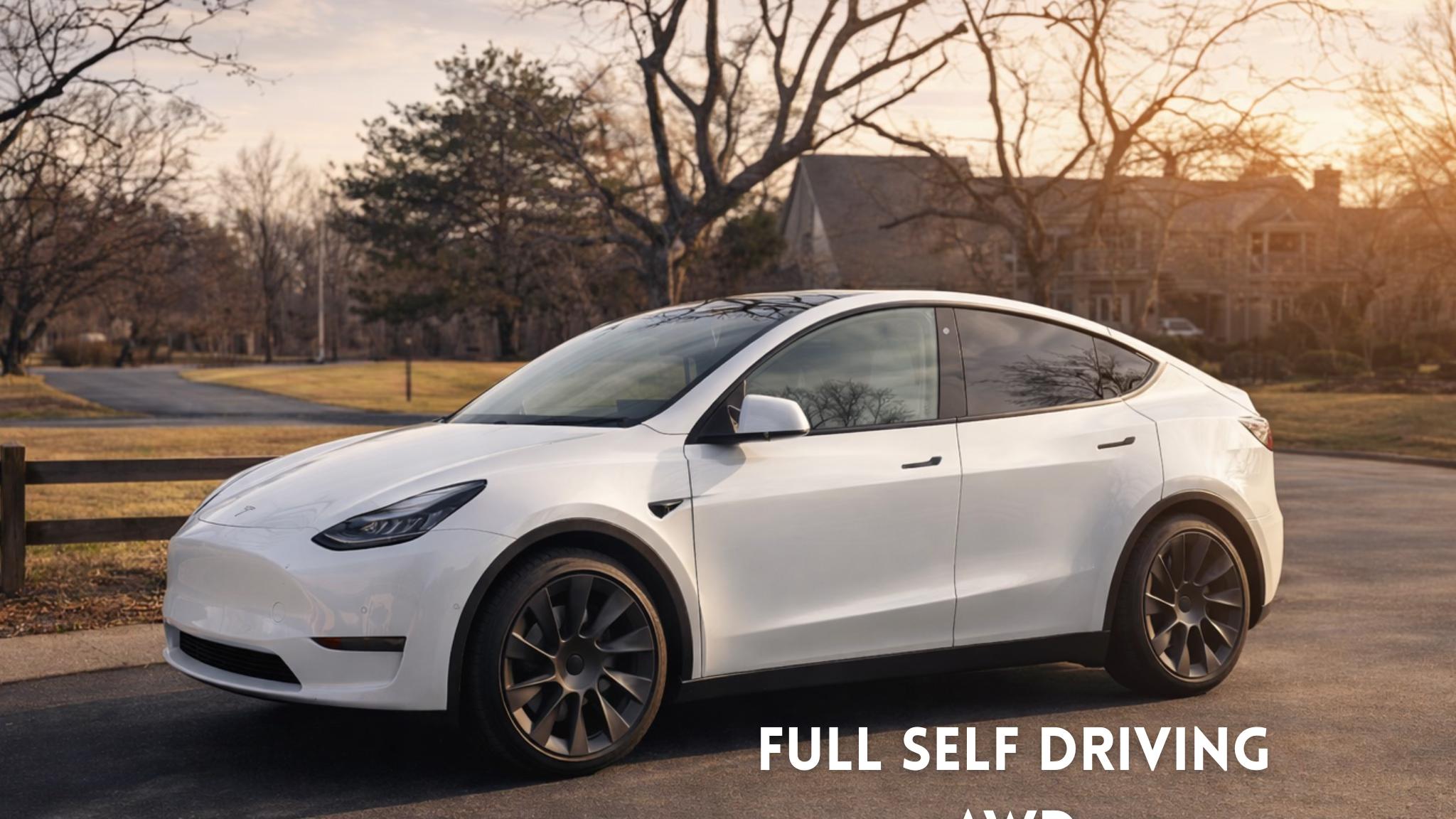 Tesla Model Y 2020 in Ann Arbor, MI