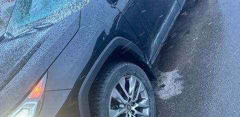 Toyota RAV4 2021