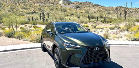 Lexus NX 2024