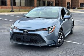 Toyota Corolla car