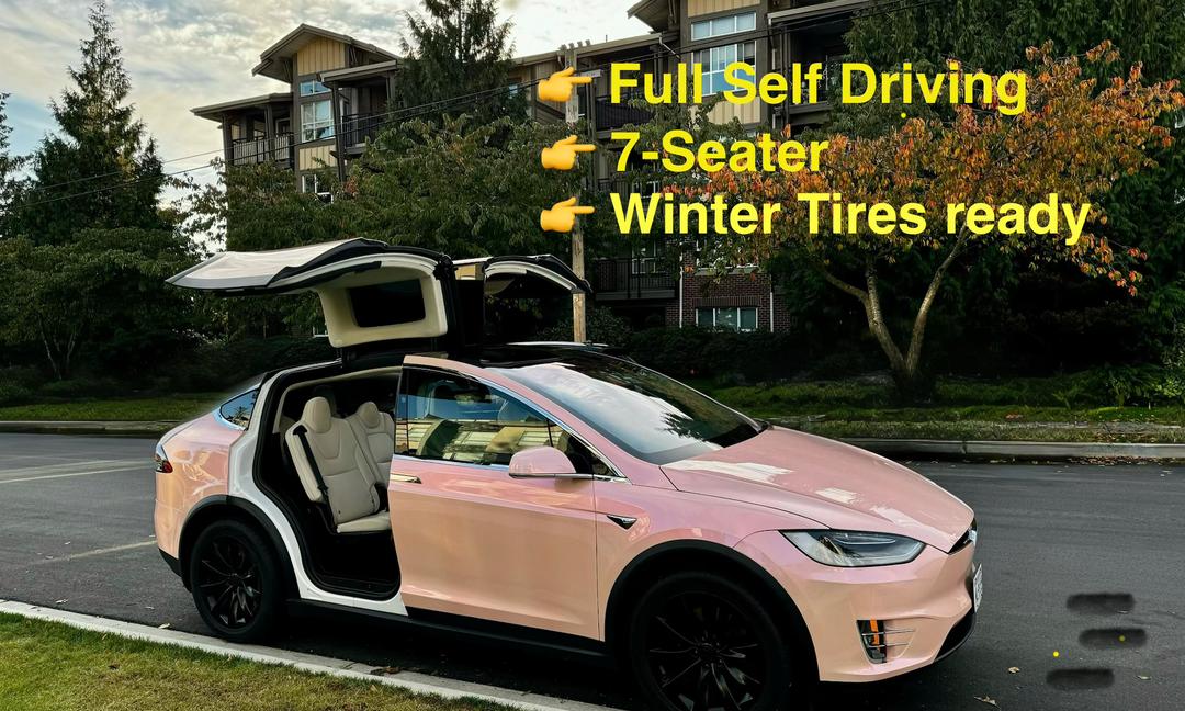 2019 Tesla Model X in Vancouver