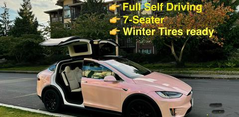 Tesla Model X 2019