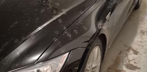 Tesla Model S 2015
