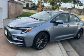 Toyota Corolla car