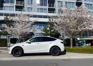 Catégorie de véhicule : Tesla Model Y