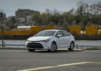 Toyota Corolla car