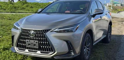 Lexus NX 2024
