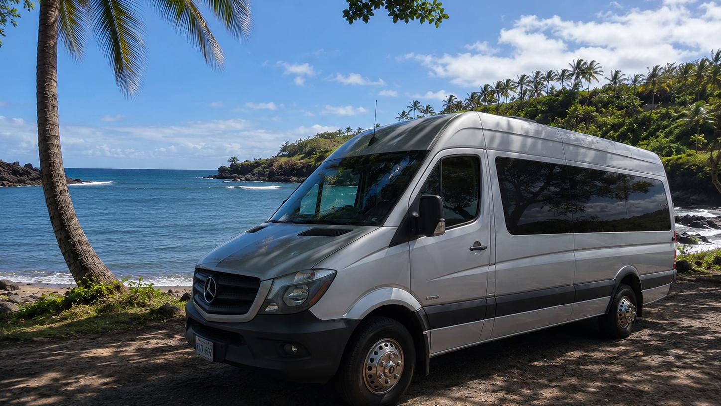 Mercedes-Benz Sprinter 2017 in Makawao, HI