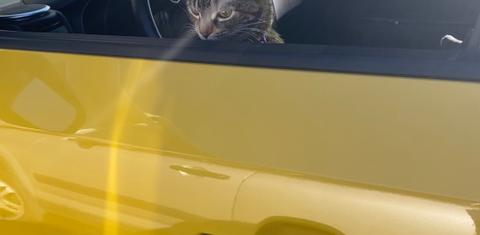 Kia Soul 2014