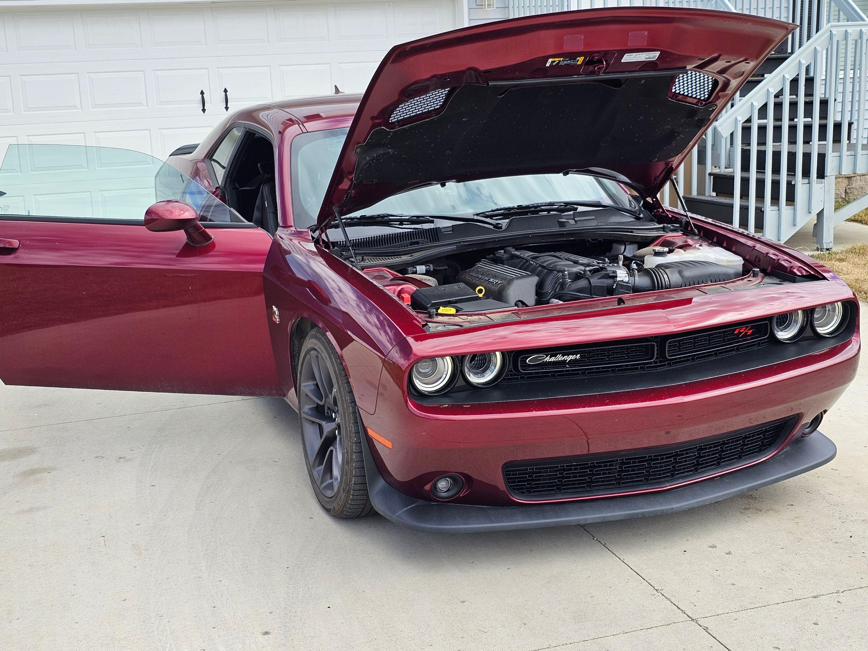 Dodge Challenger 2022 in 