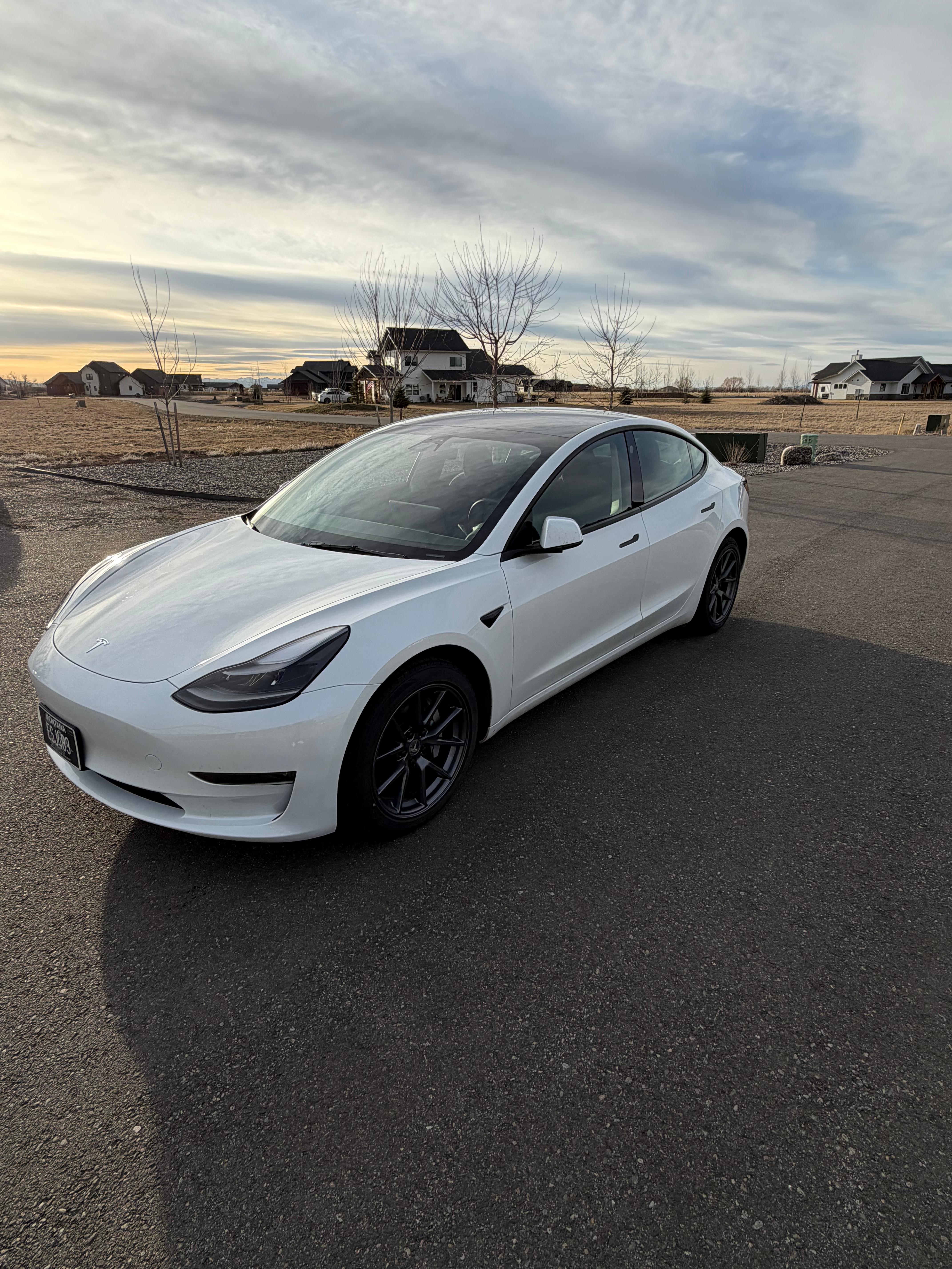 Tesla Model 3 2023 in Bozeman, MT