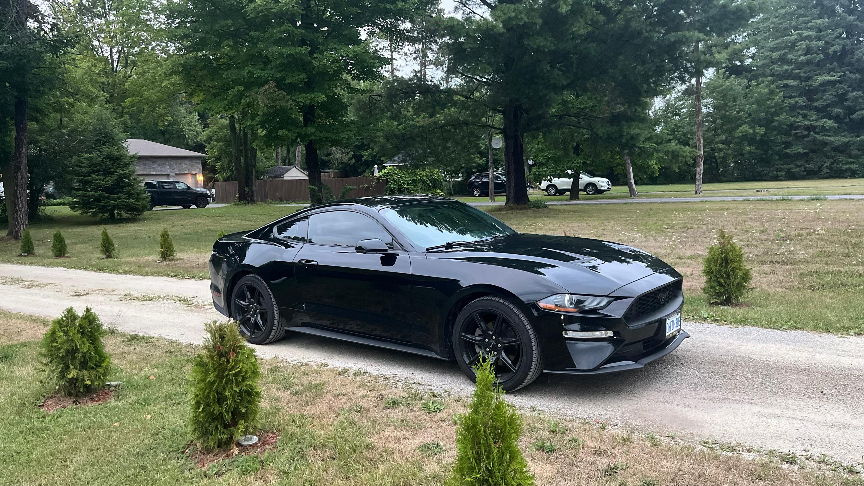 Ford Mustang 2019 à 