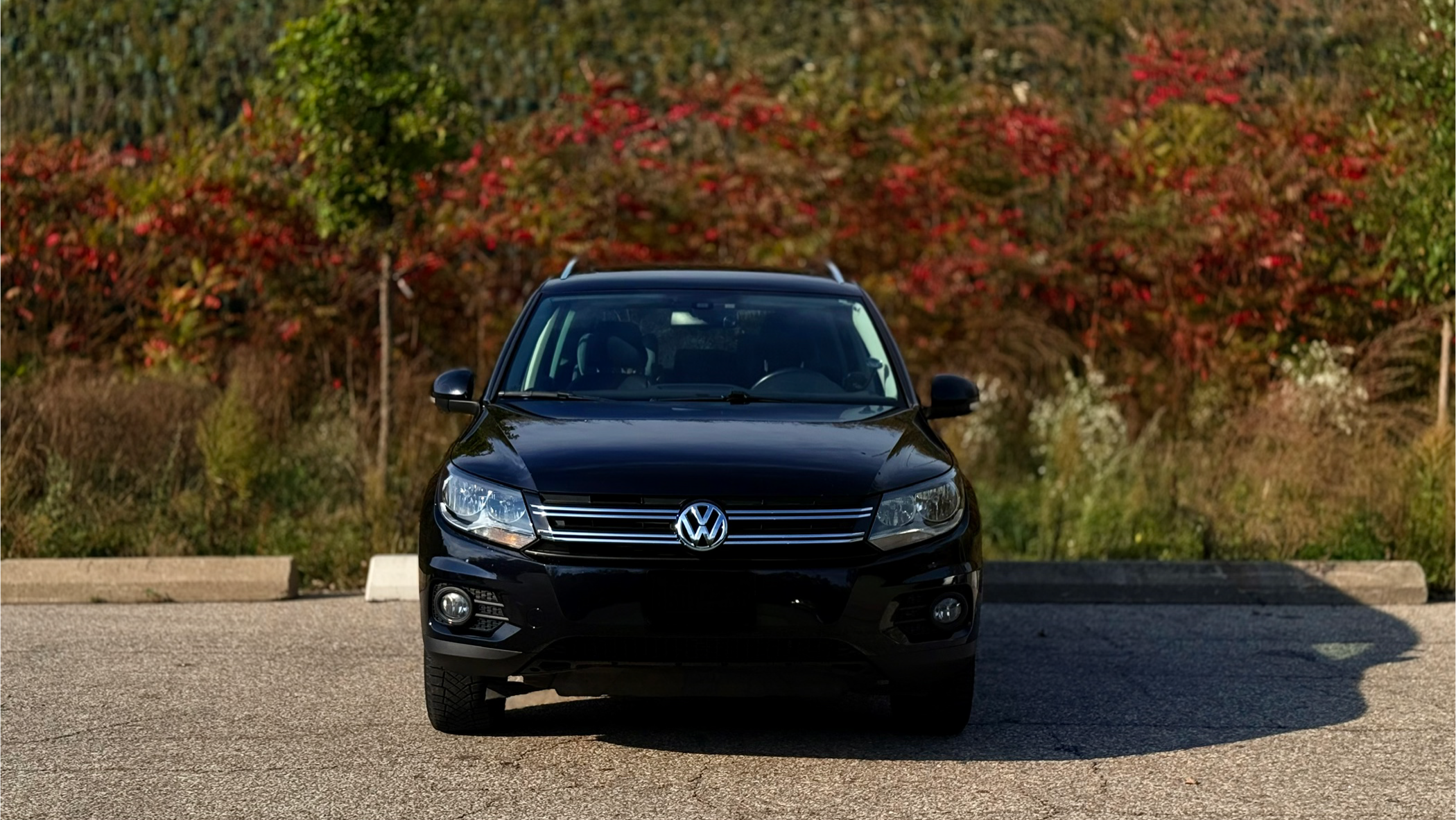 Volkswagen Tiguan 2014 in Toronto, ON