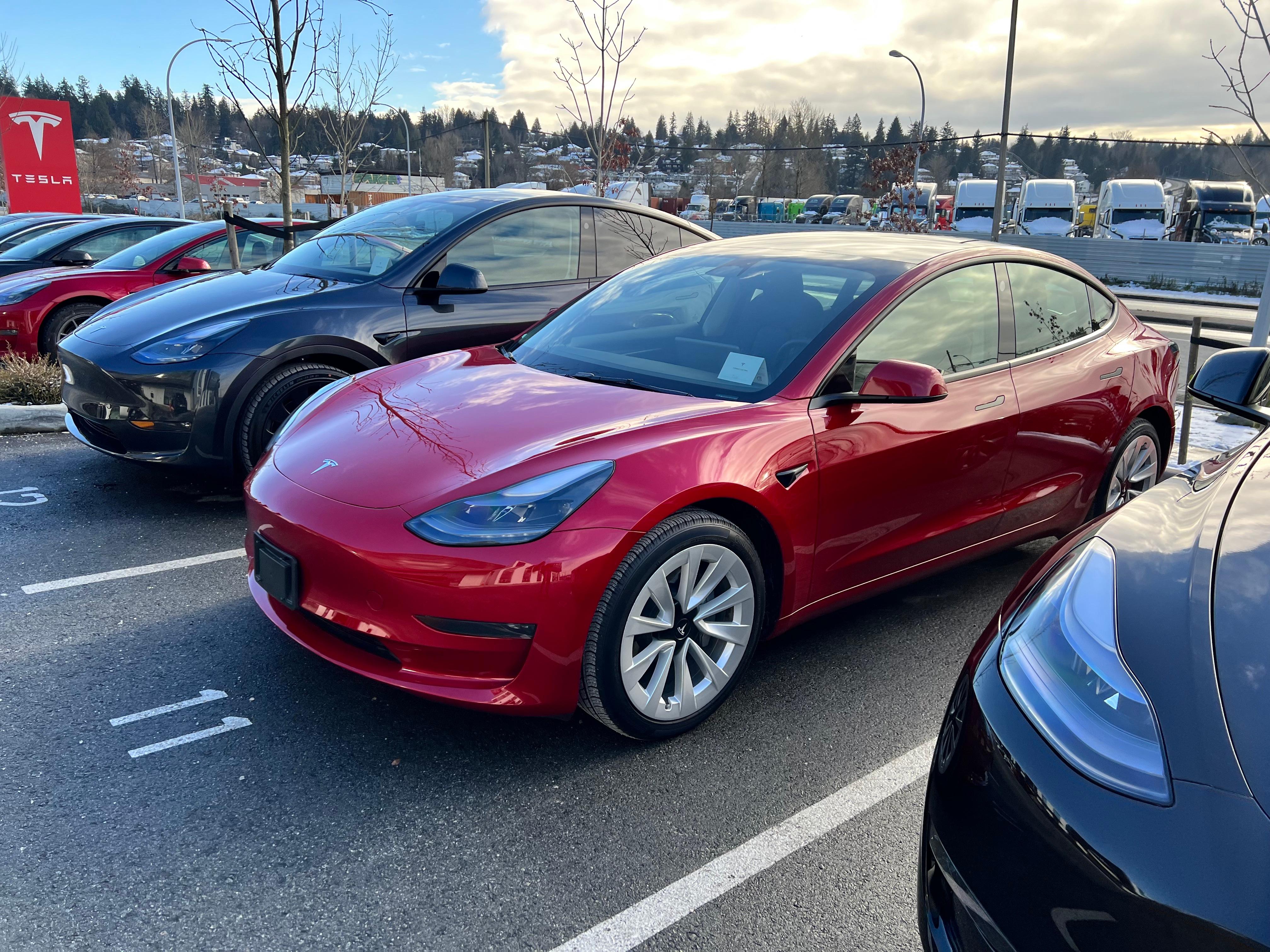 Tesla Model 3 2023 in Sidney, BC