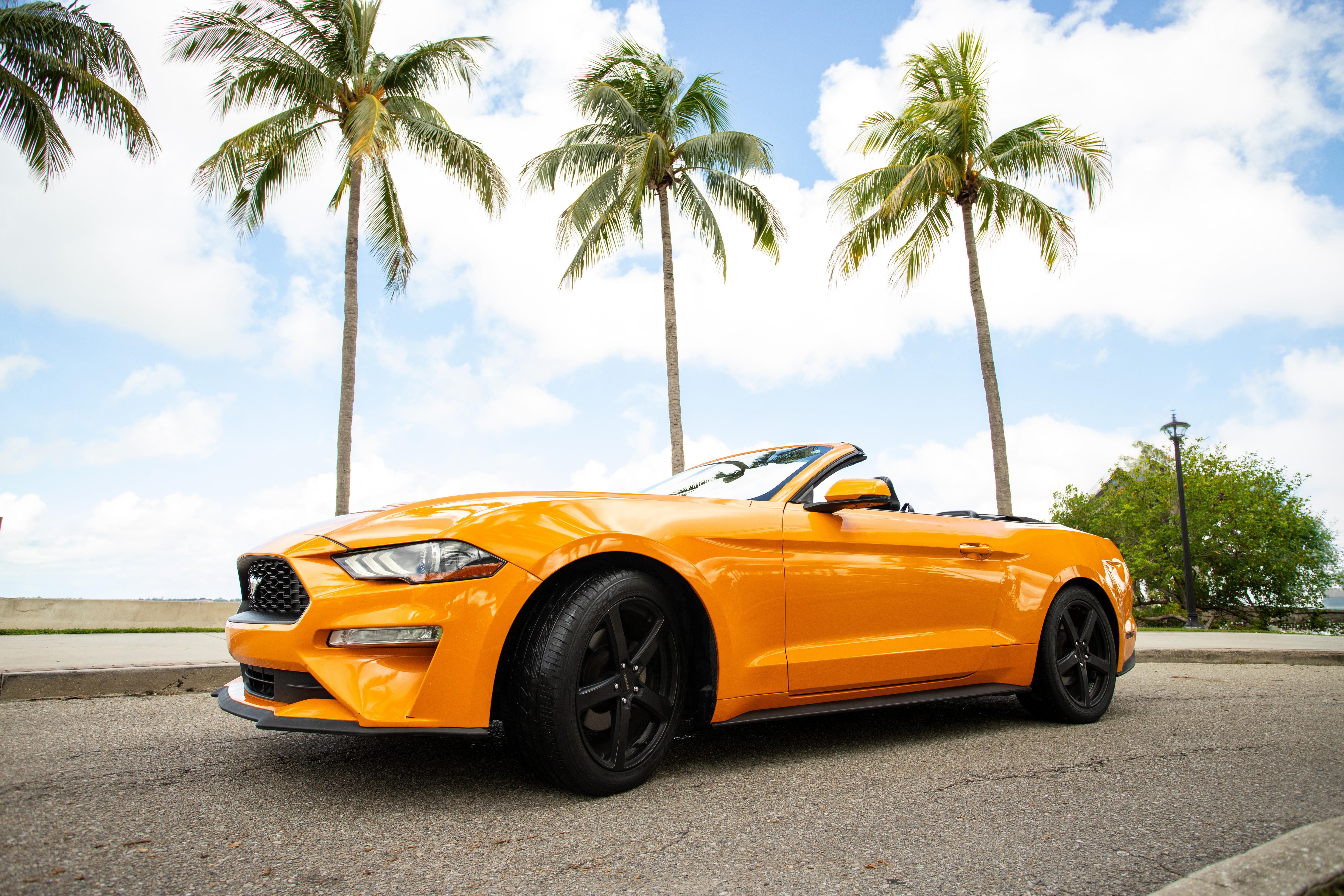 Ford Mustang 2019 in Fort Myers, FL
