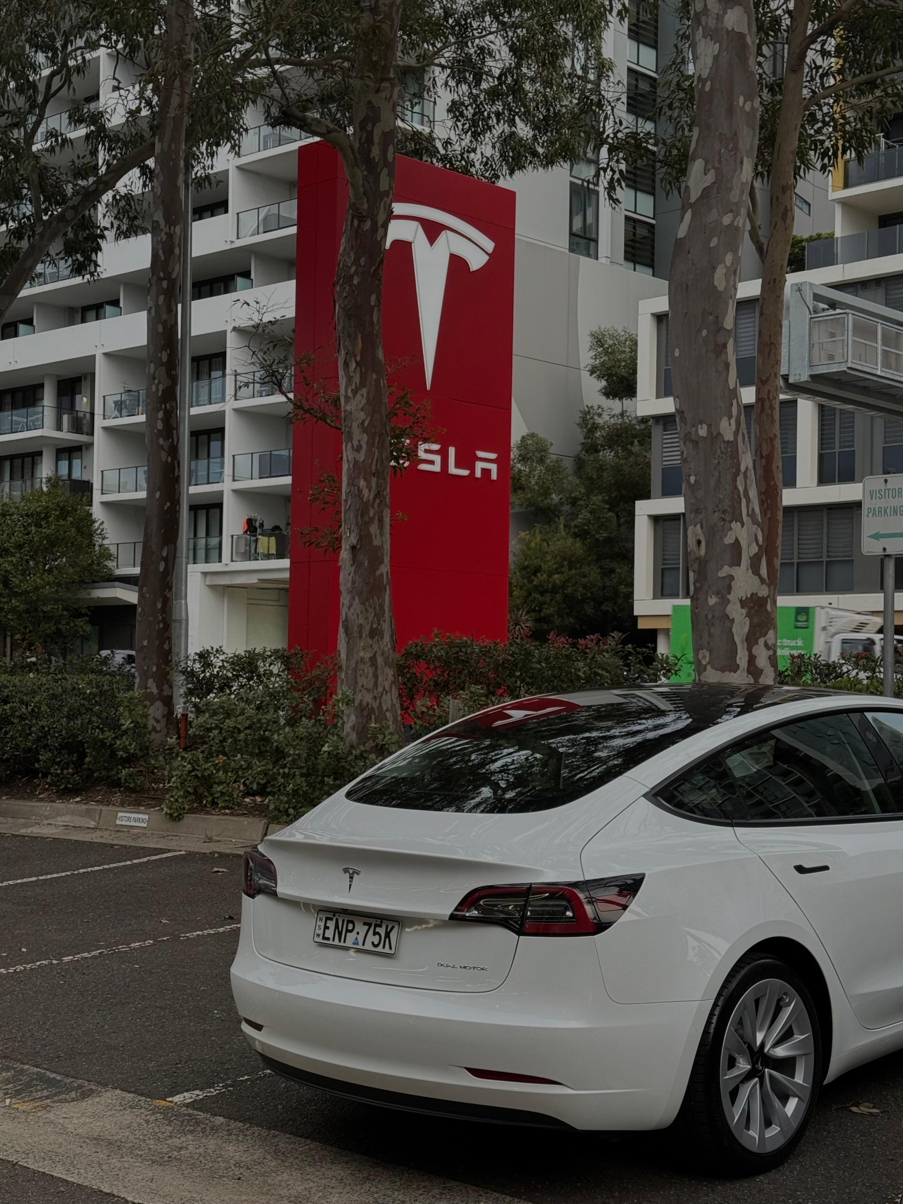 Tesla MODEL 3 2021 in Cardiff