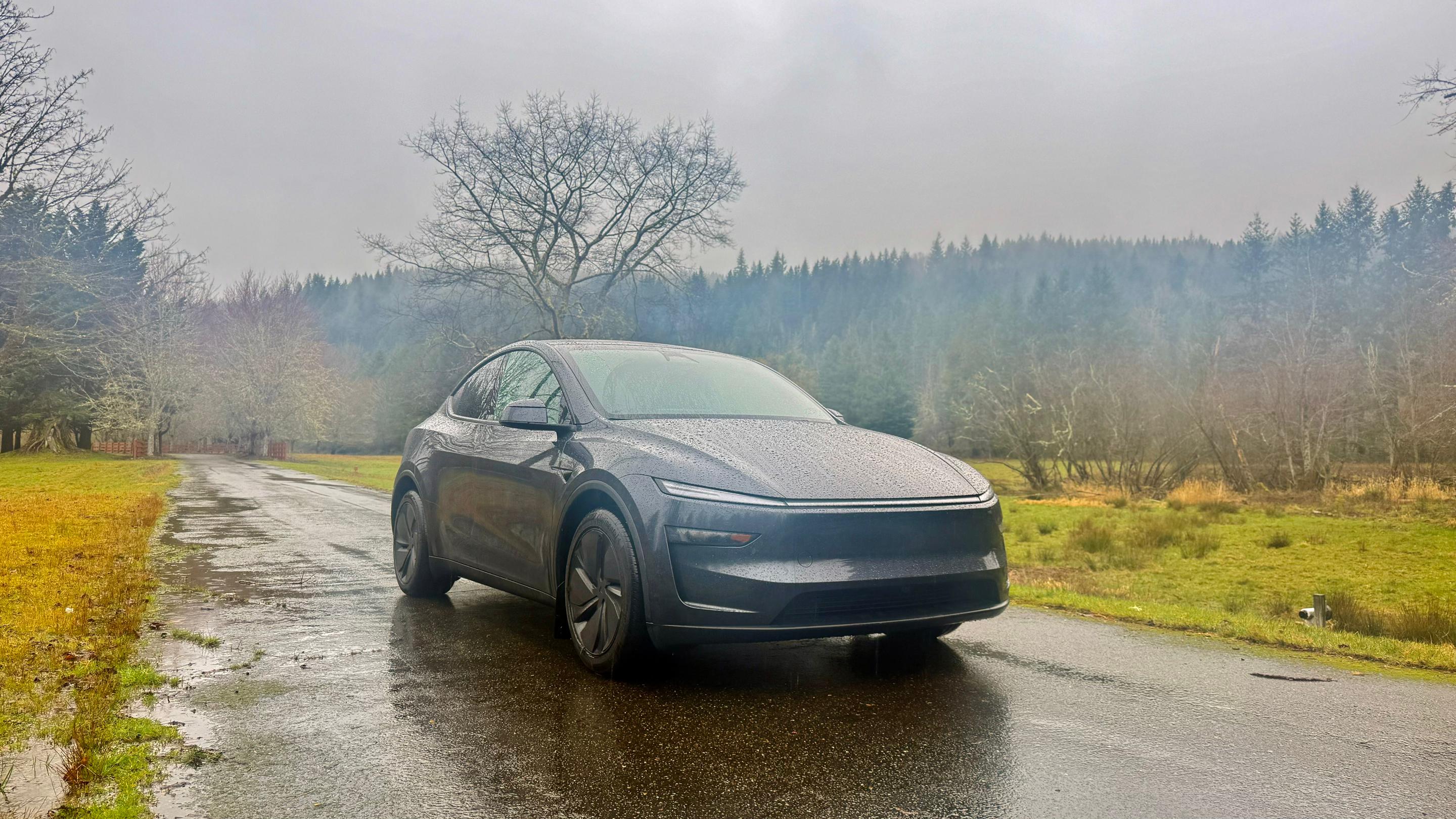 Tesla Model Y 2026 in Bellevue, WA