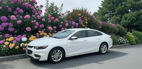 Chevrolet Malibu 2018