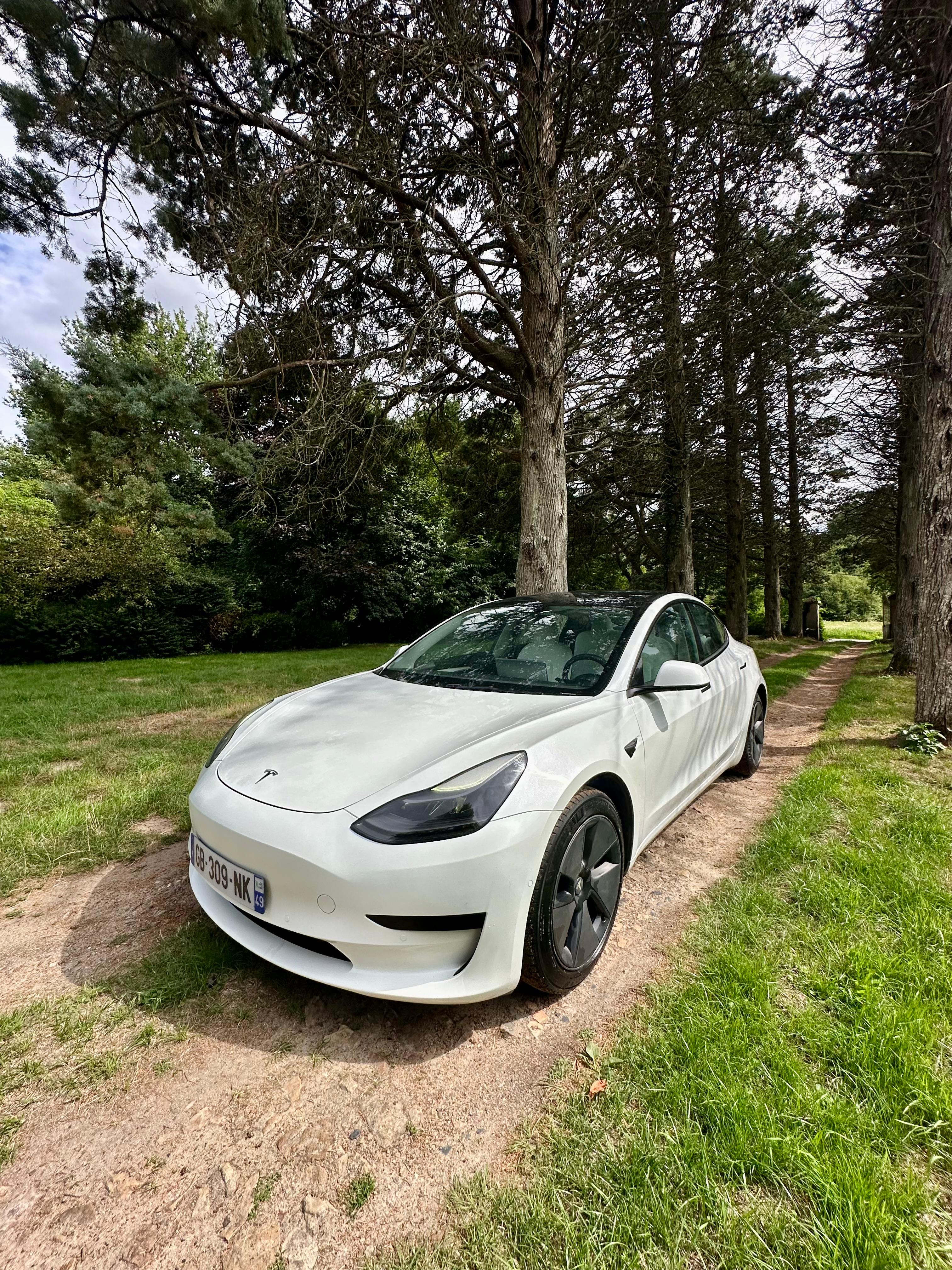 Tesla MODEL 3 2021 à Angers