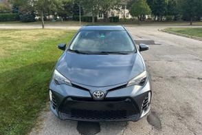 Toyota Corolla car