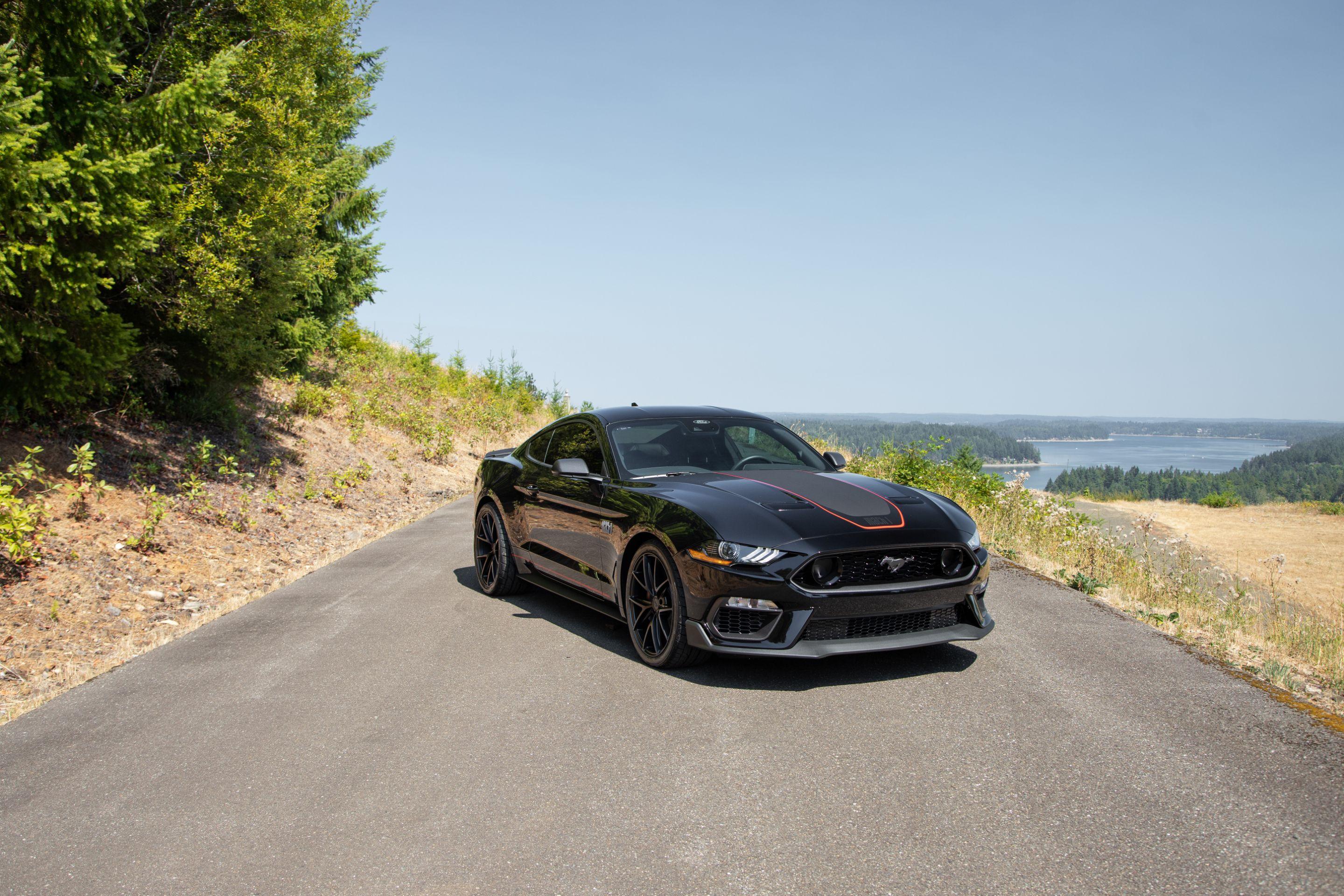 Ford Focus 2015 rental in Tacoma, WA by Alexandr Z. | Turo