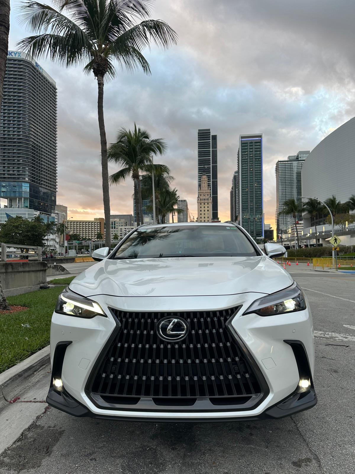 Lexus NX 2024 in 